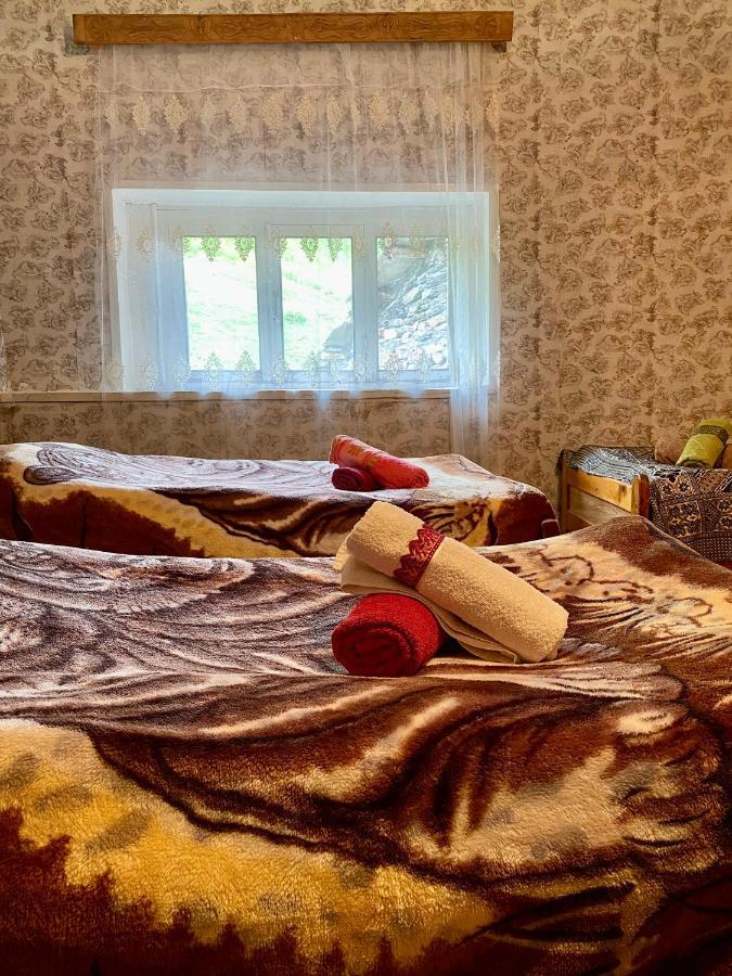 Nizharadze'S Tower Hotel Ushguli Ngoại thất bức ảnh