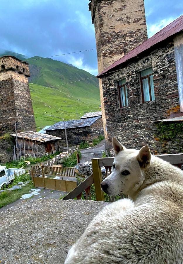 Nizharadze'S Tower Hotel Ushguli Ngoại thất bức ảnh